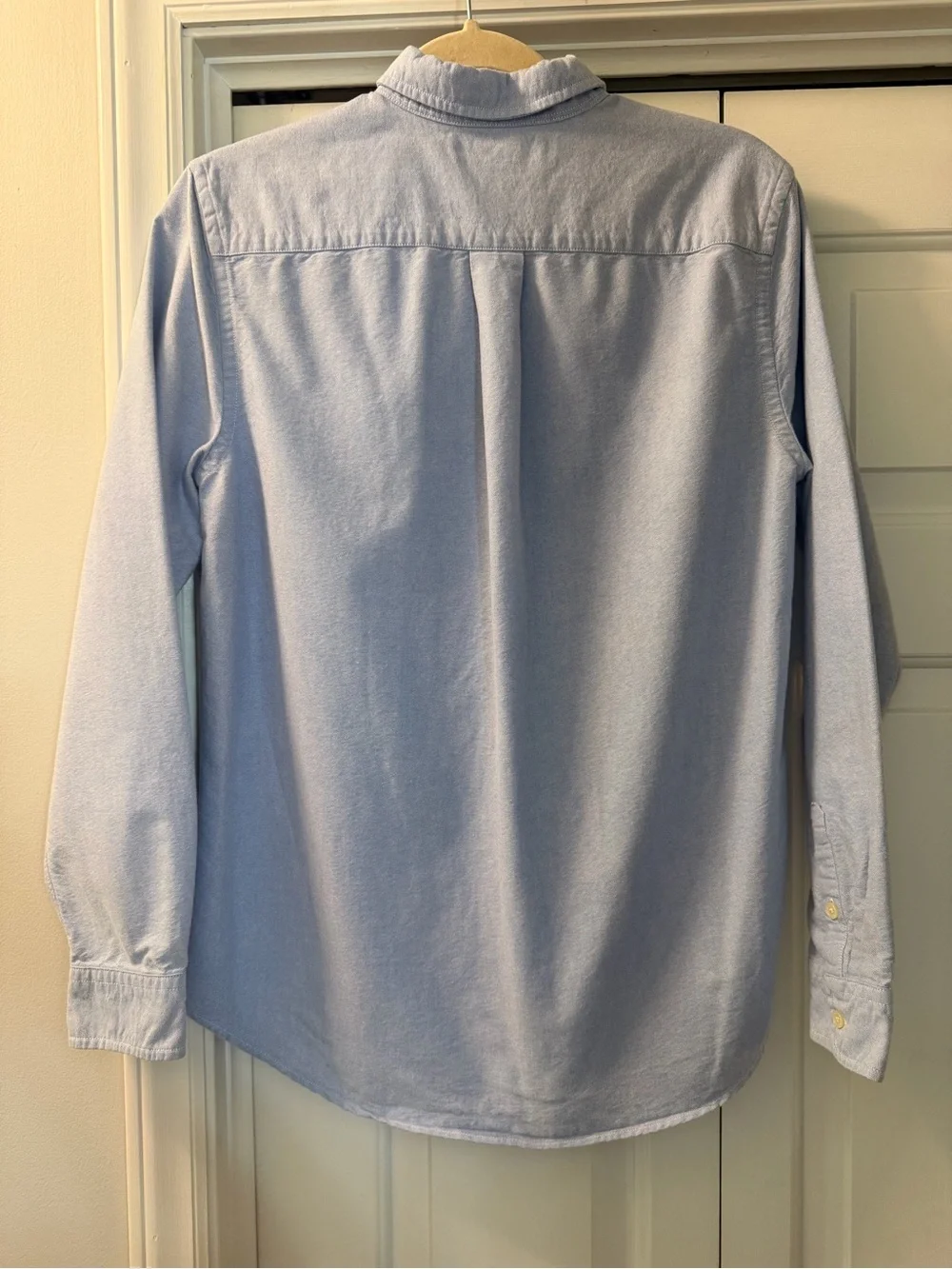 Ralph Lauren Light Blue Button-Down Shirt with Flesh Pony Logo
